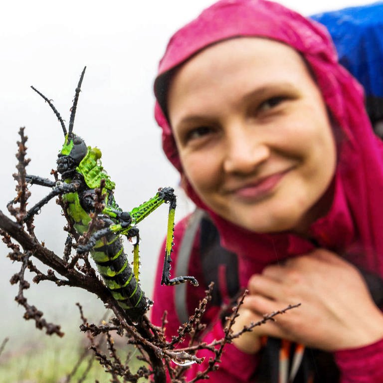 Südafrikanische Heuschrecke und Kathrin Heckmann beim Wandern (Foto: Kathrin Heckmann)