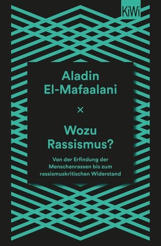 Buchcover: Wozu Rassismus? von Aladin El-Maaalani (Foto: Kiepenheuer&Witsch)