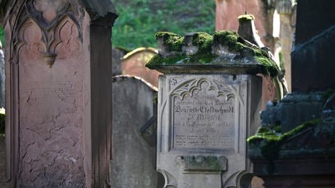 Jüdischer Friedhof Am Judensand in Mainz (Foto: IMAGO, epd)