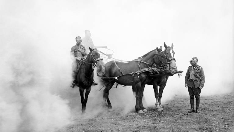Tiere im Krieg  Britische Pferde 1918 (Foto: IMAGO, IMAGO/StockTrek Images)