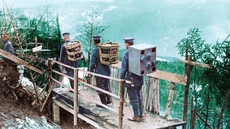Tiere im Krieg  Kolorierte Aufnahme der Deutschen Armee 1917  (Foto: picture-alliance / Reportdienste, picture alliance / akg-images)