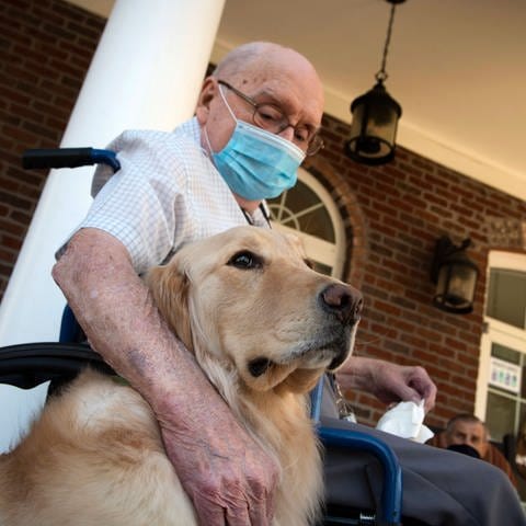 A two-year-old Golden Retriever service dog, gets scratches from an elderly resident Symbolfoto (Foto: IMAGO, ZUMA Wire)