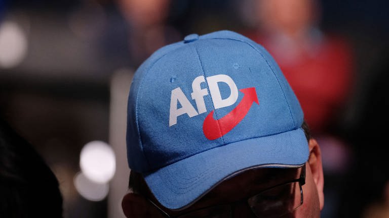 AfD-Parteitag (Foto: dpa Bildfunk, picture alliance/dpa/dpa-Zentralbild | Sebastian Willnow)
