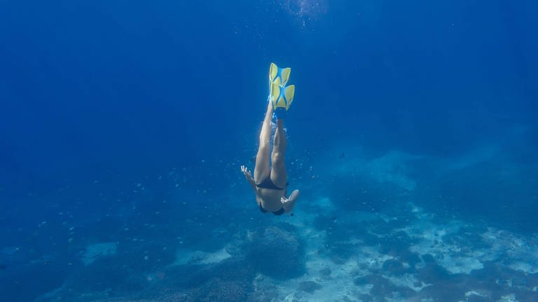 Woman with fins and snorkel diving under water  Symbolfoto (Foto: IMAGO, Westend61)