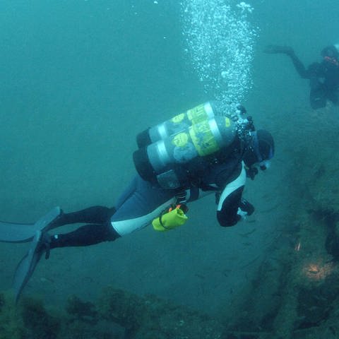 Divers on a wreck Symbolfoto