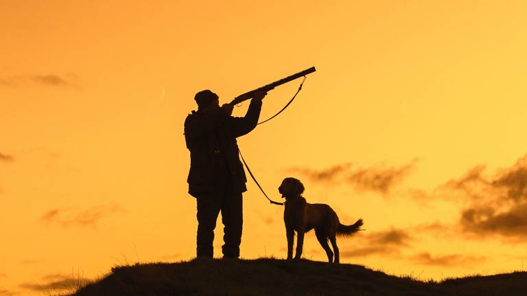 Hunter in meadow at sunset with hunting rifle Symbolfoto (Foto: IMAGO, alimdi)