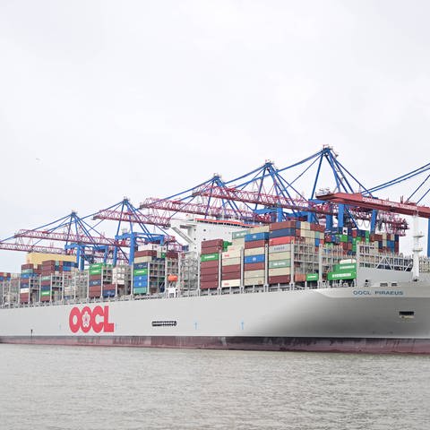 Containerschiffe und Laufkatze im Hamburger Hafen (Foto: IMAGO, IMAGO / Lobeca / Felix Schlikis)