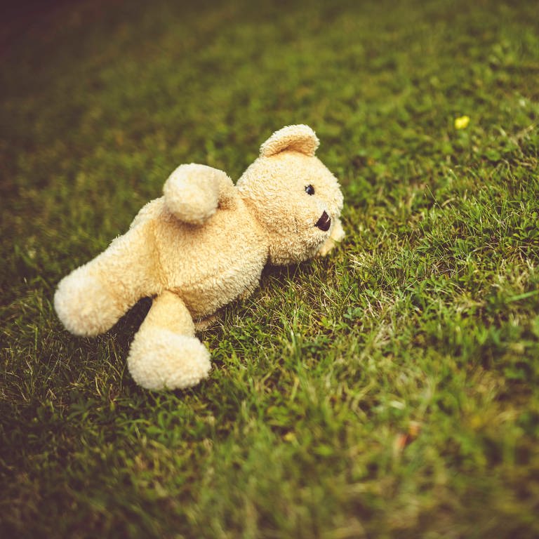 Teddy liegt auf dem Rasen