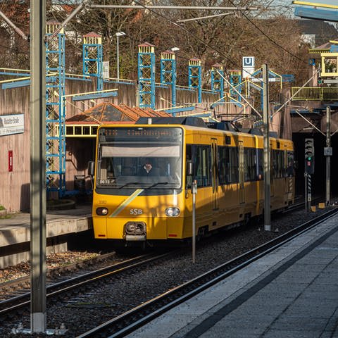 Stuttgarter Straßenbahn AG (Foto: LAD im Regierungspräsidium Stuttgart - Imre Boros)