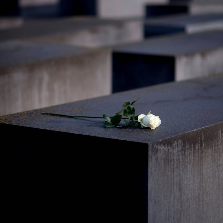 Eine weiße Rose auf dem Holocaust-Mahnmal Berlin (Foto: IMAGO,  IPON)