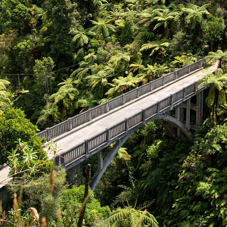 Tour on untouched Whanganui river and through the surrounding jungle, New Zealand Tour (Foto: IMAGO, Zoonar)