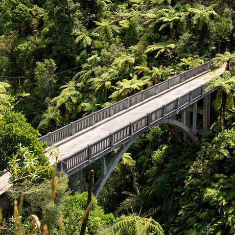 Tour on untouched Whanganui river and through the surrounding jungle, New Zealand Tour