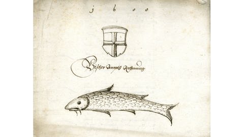 Felchen Deckblatt zu einer Fischeramtsrechnung von 1600  (Foto: Pressestelle, Stadtarchiv Konstanz)