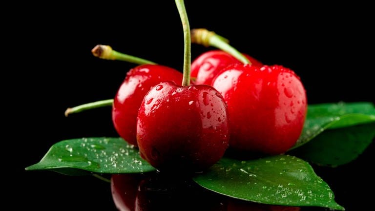 Photo of delicious wet cherries on green leaves over black reflecting background. 