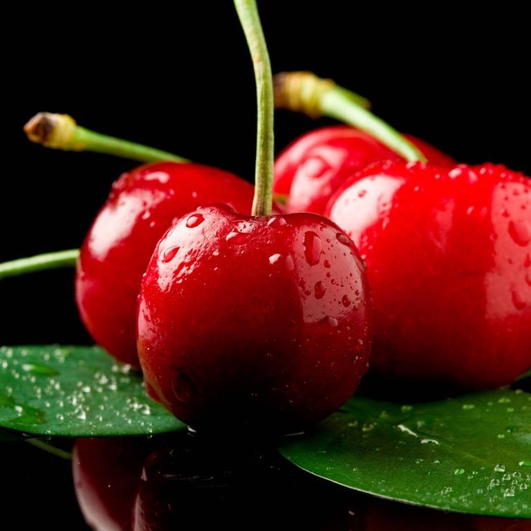 Photo of delicious wet cherries on green leaves over black reflecting background. 