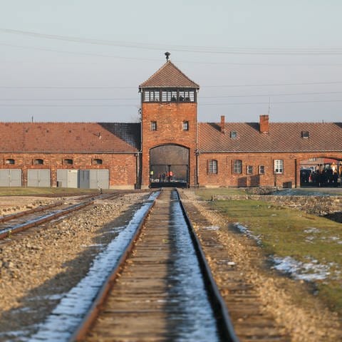 Das Vernichtungslager Auschwitz