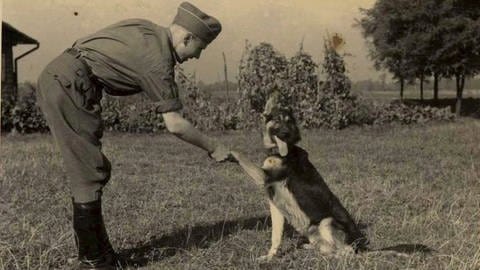 Bilder zum Artikel "Der Schäferhund"  (Foto: picture-alliance / Reportdienste, epa U.s. Holocaust Memorial Museum)