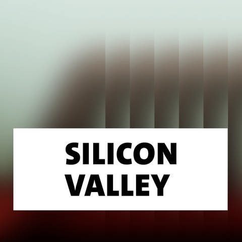 Wort der Woche: Silicon Valley