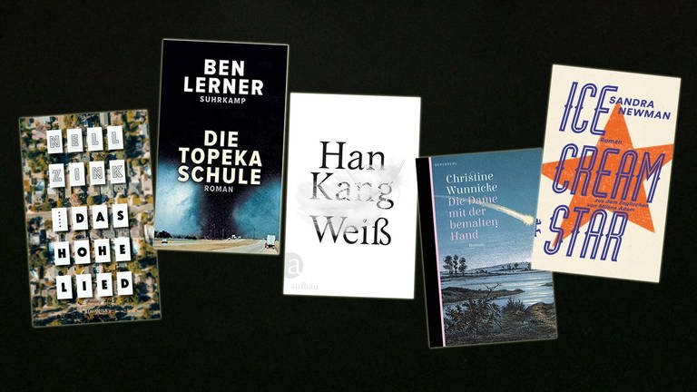 Alle Bücher des Lesenswert Magazins vom 6.9.2020 (Foto: Pressestelle, Rowohlt Verlag, Berenberg Verlag, Aufbau Verlag, Suhrkamp Verlag)