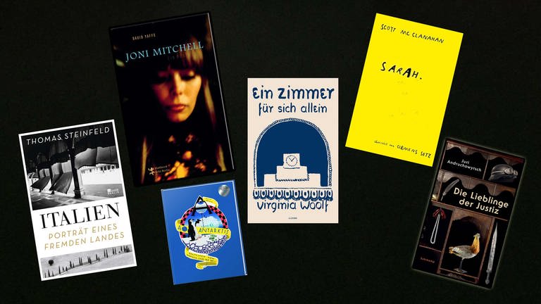 Lesenswert Magazin - alle Cover (Foto: Pressestelle, Ars Vivendi; Kampa; Suhrkamp; Rowohlt; Matthes & Seitz, Karl Rauch)