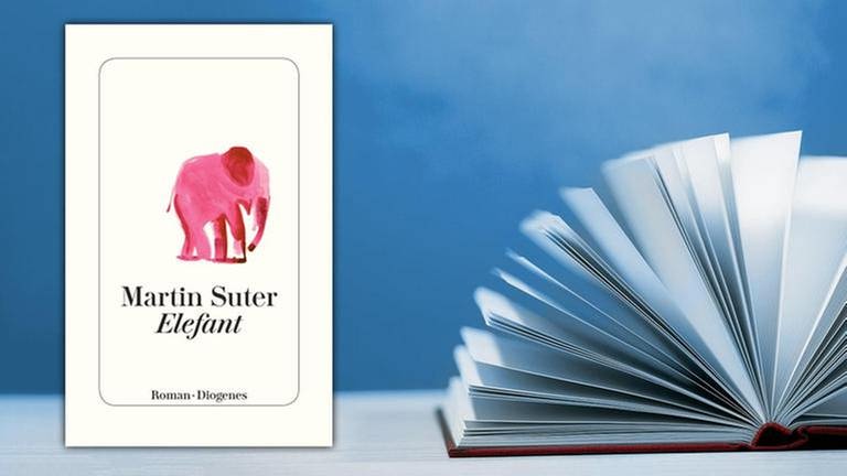 Buchcover Elefant Martin Suter (Foto: Diogenes Verlag -)