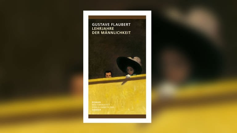 Gustave Flaubert - Lehrjahre der Männlichkeit (Foto: Pressestelle, Hanser Verlag)