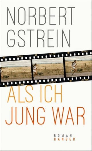 Cover zum Roman "Als ich jung war" von Norbert Gstrein (Foto: Pressestelle, Hanser Verlag)