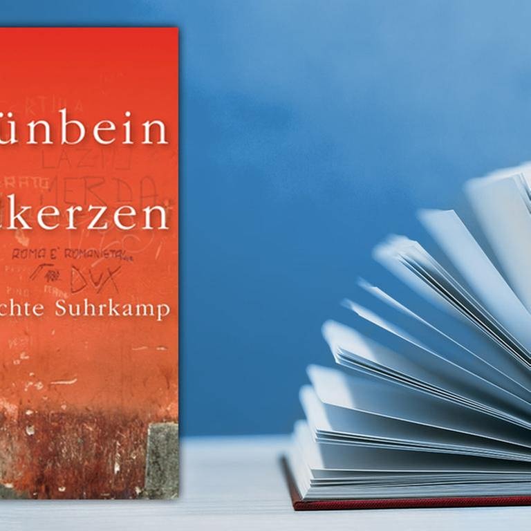 Buchcover Zündkerze von Durs Grünbein (Foto: Suhrkamp Verlag -)