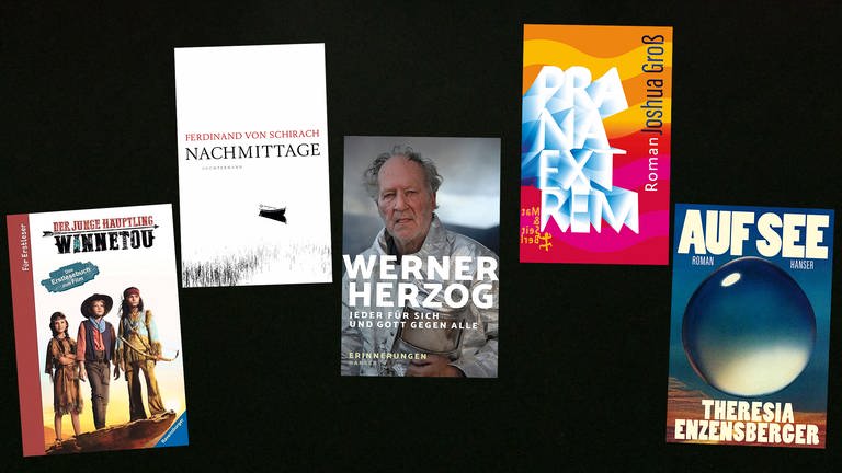Cover der Bücher aus dem lesenswert Magazin am 28. August 2022 (Foto: Pressestelle, Ravensburger, Hanser, Matthes&Seitz, Luchterhand)