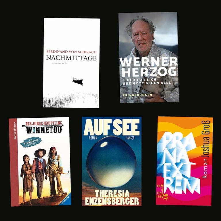 Cover der Bücher aus dem lesenswert Magazin am 28. August 2022