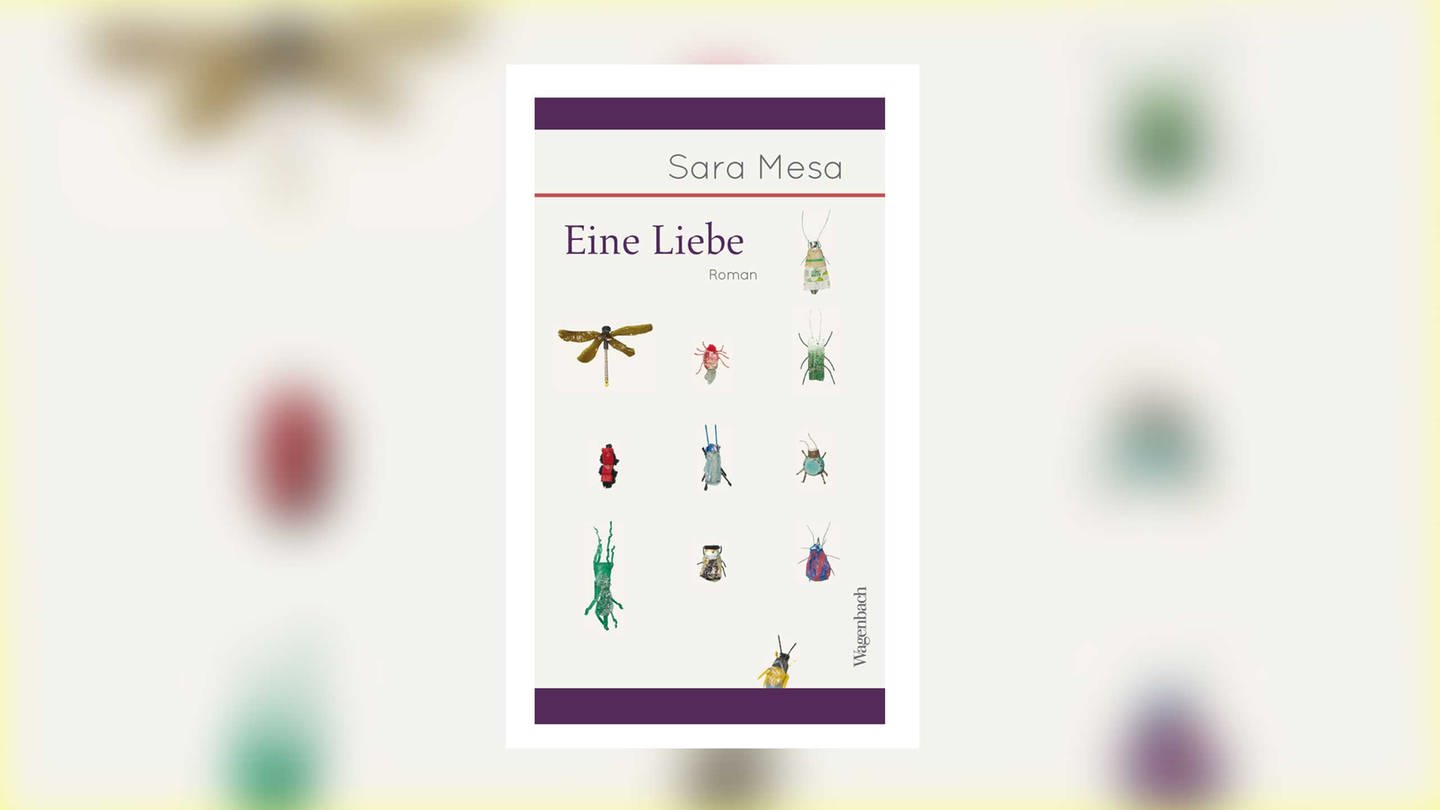Sara Mesa: Eine Liebe (Foto: Pressestelle, Wagenbach Verlag)