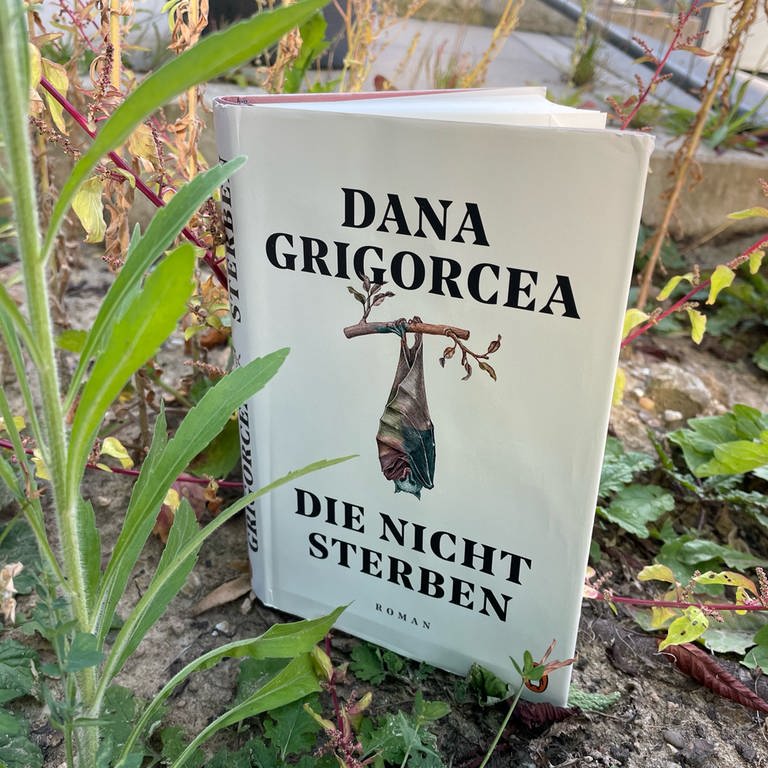 Dana Grigorcea - Die nicht sterben (Foto: SWR, Penguin Verlag (c) Carsten Otte)