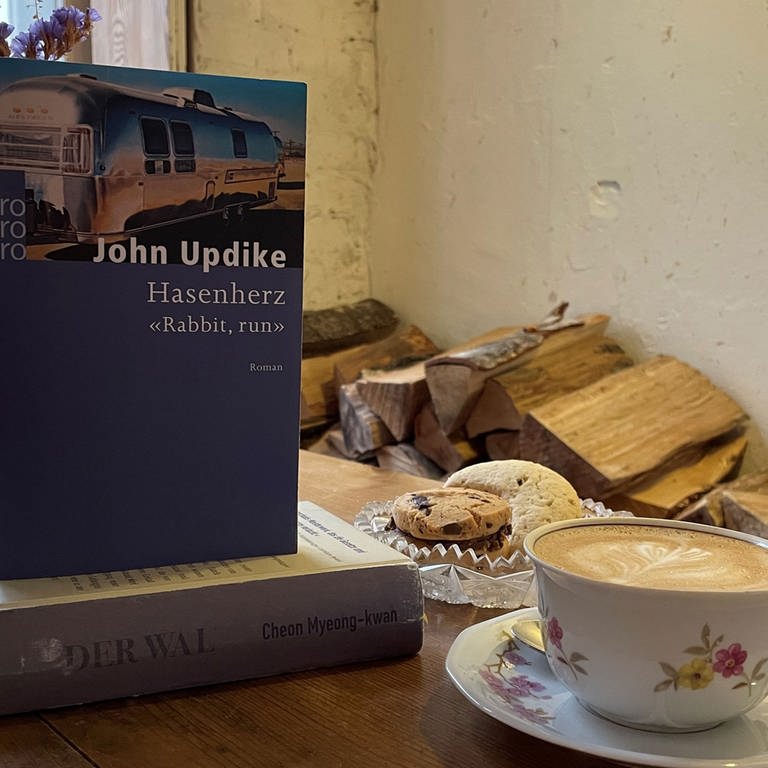 John Updike - Hasenherz <<Rabbit, run>> (Foto: Pressestelle, Rowohlt Verlag)