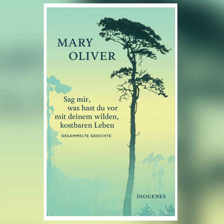 Mary Oliver - Gedichtband (Foto: Pressestelle, Diogenes Verlag)