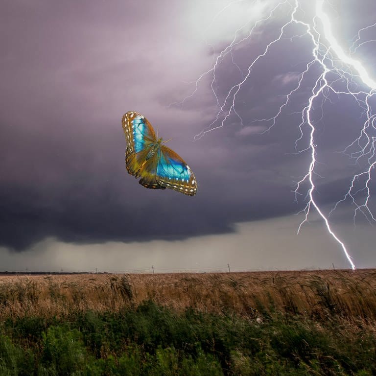 Schmetterling bei Gewitter über einem Feld (Foto: IMAGO, IMAGO / SuperStock)