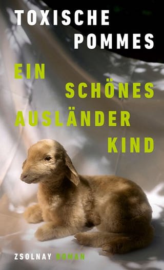 Buchcover "Ein schönes Ausländerkind" (Foto: Pressestelle, Zsolnay)