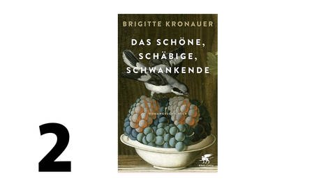 Brigitte Kronauer: Das Schöne, Schäbige, Schwankende (Foto: Verlag Klett-Cotta)