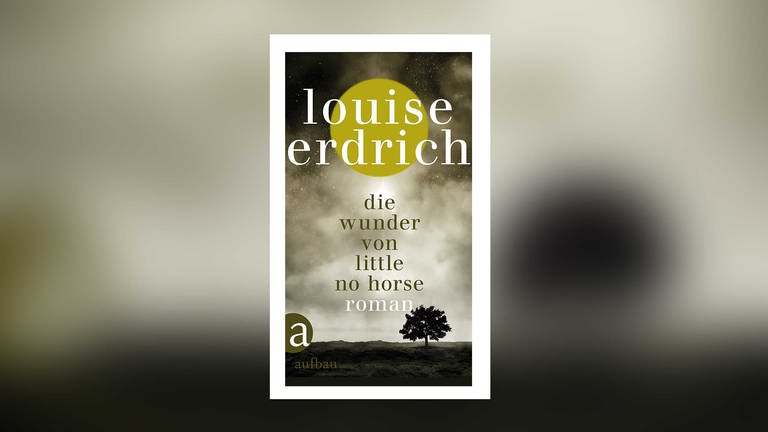 Louise Erdrich: Die Wunder von Little No Horse (Foto: Aufbau Verlag)