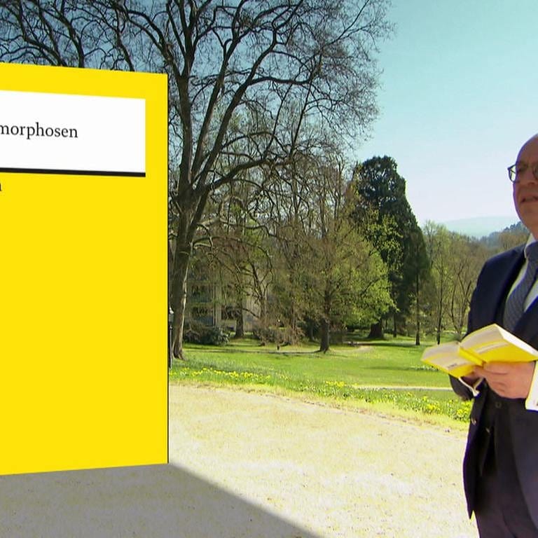 Denis Scheck hält ein Buch in den Händen, links daneben das Buchcover "Metamorphosen" von Ovid (Foto: SWR, SWR -)