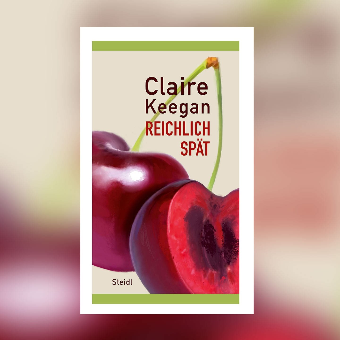 Claire Keegan – Reichlich spät