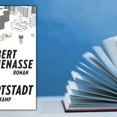 Buchcover Robert Menasse "Die Hauptstadt" (Foto: Suhrkamp Verlag -)