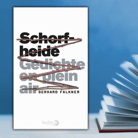 Buchcover: Gerhard Falkner - Schorfheide