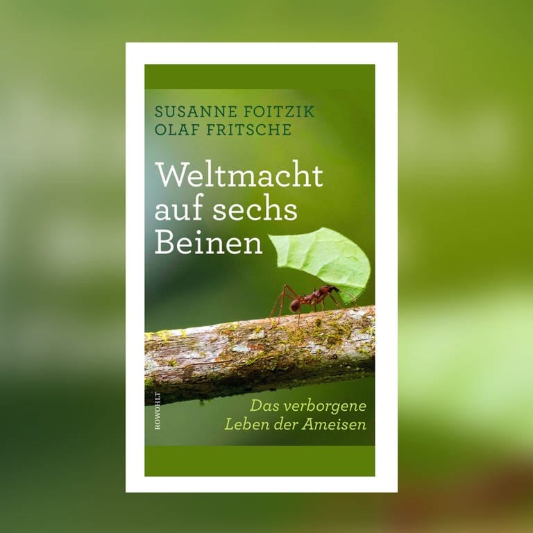 Susanne Foitzik, Olaf Fritsche - Weltmacht auf sechs Beinen. Das verborgene Leben der Ameisen (Foto: Rowohlt Verlag)