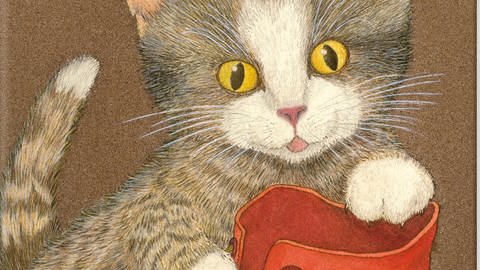 Cover des Buches "Ich bin die kleine Katze"