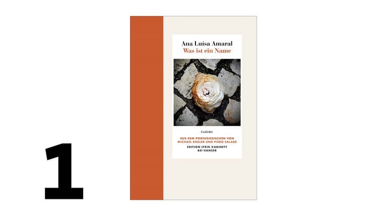 Cover des Buches Ana Luísa Amaral: Was ist ein Name (Foto: Pressestelle, Hanser Verlag)