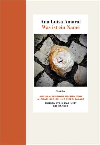 Cover des Buches Ana Luísa Amaral: Was ist ein Name (Foto: Pressestelle, Hanser Verlag)