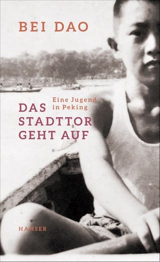 Cover des Buches Bei Dao: Das Stadttor geht auf (Foto: Pressestelle, Hanser Verlag)