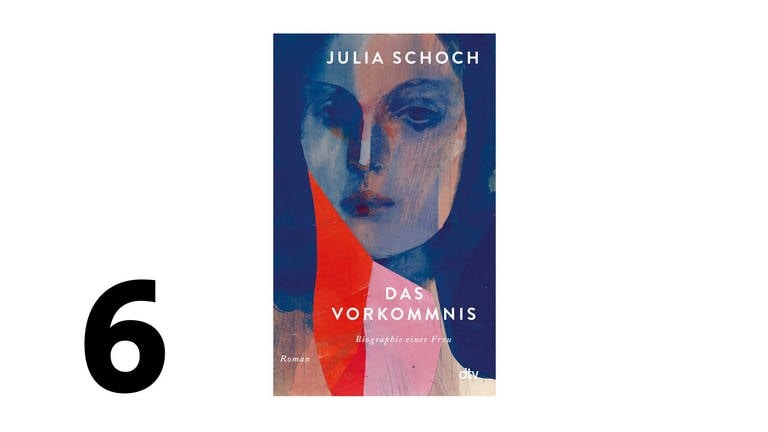 Cover des Buches Julia Schoch: Das Vorkommnis (Foto: Pressestelle, dtv Verlagsgesellschaft mbH & Co. KG)