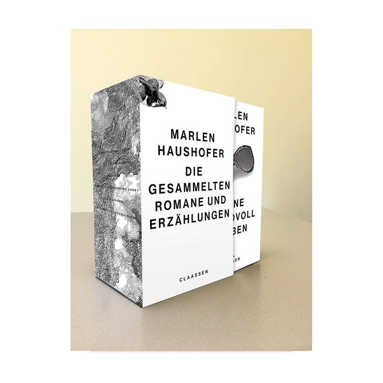 Cover des Buches Marlen Haushofer: Die gesammelten Romane und Erzählungen (Foto: Pressestelle, Verlag: Claassen)