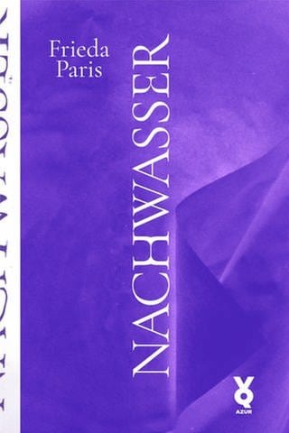 Cover des Buches Frieda Paris: Nachwasser